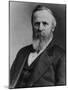 President Rutherford B. Hayes (Portrait) Art Poster Print-null-Mounted Poster