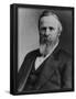 President Rutherford B. Hayes (Portrait) Art Poster Print-null-Framed Poster