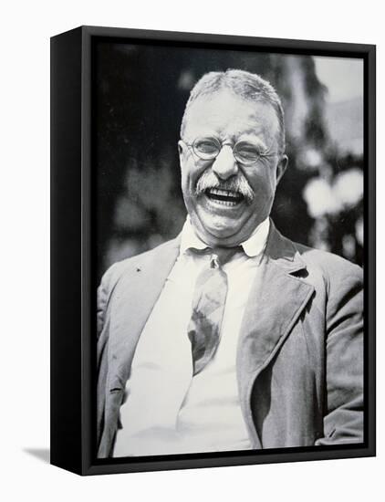 President Theodore Roosevelt, c.1917-null-Framed Stretched Canvas