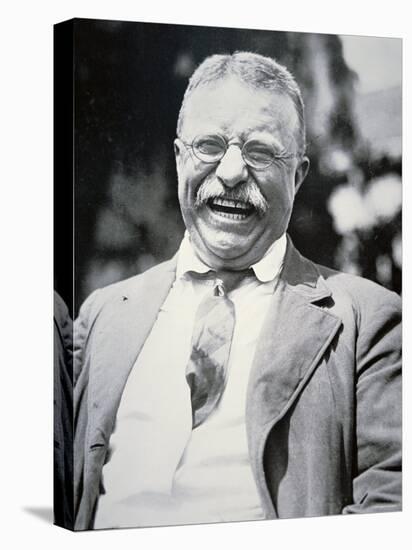 President Theodore Roosevelt, c.1917-null-Stretched Canvas