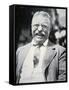 President Theodore Roosevelt, c.1917-null-Framed Stretched Canvas