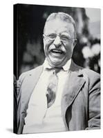 President Theodore Roosevelt, c.1917-null-Stretched Canvas