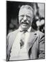 President Theodore Roosevelt, c.1917-null-Mounted Premium Photographic Print