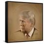 President Trump-Joel Christopher Payne-Framed Stretched Canvas