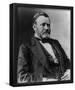 President Ulysses S Grant (Portrait) Art Poster Print-null-Framed Poster