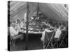 President Warren Harding Has Lunch in a Tent, with Thomas Edison and Henry Ford (On Right)-null-Stretched Canvas