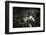 President Wilson Speaking to Congress-null-Framed Photographic Print