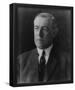 President Woodrow Wilson (Portrait) Art Poster Print-null-Framed Poster