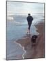 Presidential Candidate Bobby Kennedy and His Dog, Freckles, Running on Beach-Bill Eppridge-Mounted Premium Photographic Print