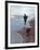 Presidential Candidate Bobby Kennedy and His Dog, Freckles, Running on Beach-Bill Eppridge-Framed Photographic Print