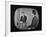 Presidential Candidate Richard M. Nixon Speaking During a Televised Debate-Paul Schutzer-Framed Photographic Print