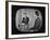 Presidential Candidate Richard M. Nixon Speaking During a Televised Debate-Paul Schutzer-Framed Photographic Print