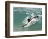 Presidential Candidate Senator Barack Obama, On Vacation, Body Surfing at a Beach, Honolulu, Hawaii-null-Framed Photographic Print