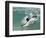 Presidential Candidate Senator Barack Obama, On Vacation, Body Surfing at a Beach, Honolulu, Hawaii-null-Framed Photographic Print