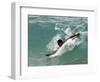 Presidential Candidate Senator Barack Obama, On Vacation, Body Surfing at a Beach, Honolulu, Hawaii-null-Framed Photographic Print