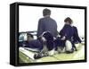 Presidential Contender Bobby Kennedy with Sons and Pet Dog Freckles in Convertible During Campaign-Bill Eppridge-Framed Stretched Canvas