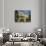 Presidential Palace, Santo Domingo, Domincan Republic-null-Photographic Print displayed on a wall