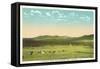 Presidential Range, White Mountains, New Hampshire-null-Framed Stretched Canvas