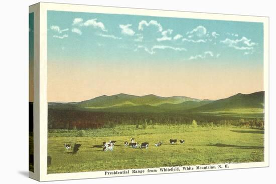 Presidential Range, White Mountains, New Hampshire-null-Stretched Canvas