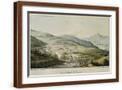Brown Frame