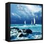 Canvas Black