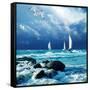 Canvas Black