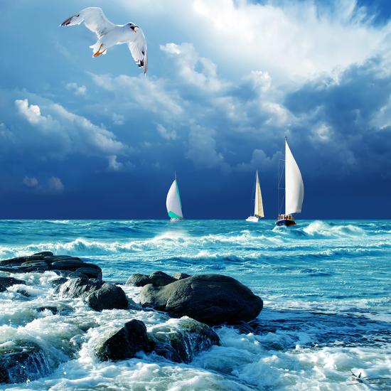Photographic Print, , large