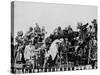 Press and Newsreel Long-Focus Cameras are Trained on the Royal Box at Ascot-null-Stretched Canvas