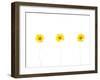 Press Yellow Mum Flowers-Koollapan-Framed Art Print