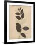 Pressed Botanical I-Kimberly Poloson-Framed Art Print