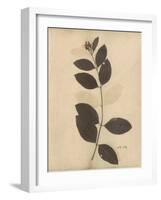 Pressed Botanical I-Kimberly Poloson-Framed Art Print