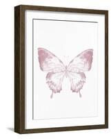 Pressed Butterfly 1-Kimberly Allen-Framed Art Print