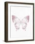 Pressed Butterfly 1-Kimberly Allen-Framed Art Print