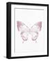 Pressed Butterfly 1-Kimberly Allen-Framed Art Print