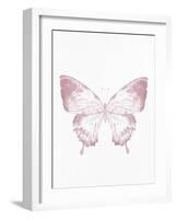 Pressed Butterfly 1-Kimberly Allen-Framed Art Print