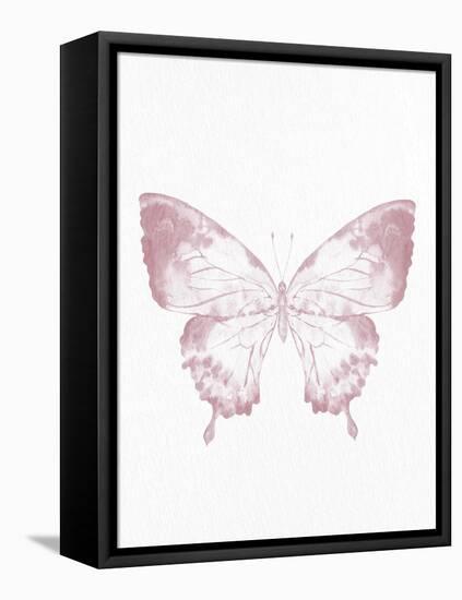 Pressed Butterfly 1-Kimberly Allen-Framed Stretched Canvas