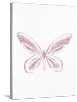 Pressed Butterfly 2-Kimberly Allen-Stretched Canvas