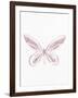 Pressed Butterfly 2-Kimberly Allen-Framed Art Print