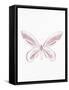 Pressed Butterfly 2-Kimberly Allen-Framed Stretched Canvas