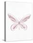 Pressed Butterfly 2-Kimberly Allen-Stretched Canvas