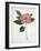 Pressed Camellia I-Annie Warren-Framed Art Print