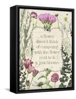 Pressed Floral Quote III-null-Framed Stretched Canvas