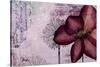 Pressed Flowers I-Patricia Pinto-Stretched Canvas