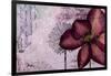 Pressed Flowers I-Patricia Pinto-Framed Art Print