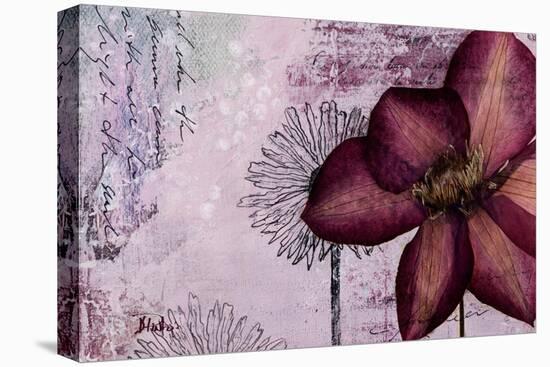 Pressed Flowers I-Patricia Pinto-Stretched Canvas