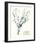 Pressed Flowers in Spa II-Vision Studio-Framed Art Print