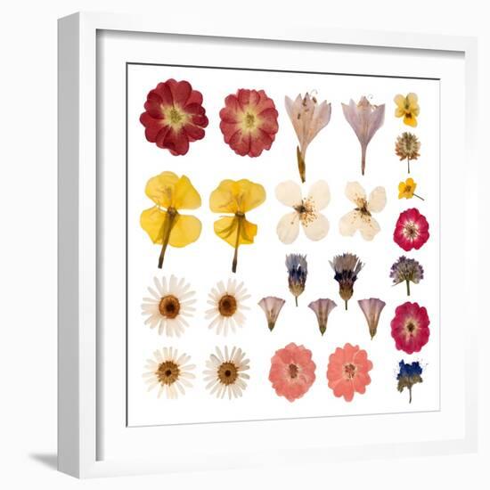 Pressed Flowers-Iwona Grodzka-Framed Art Print