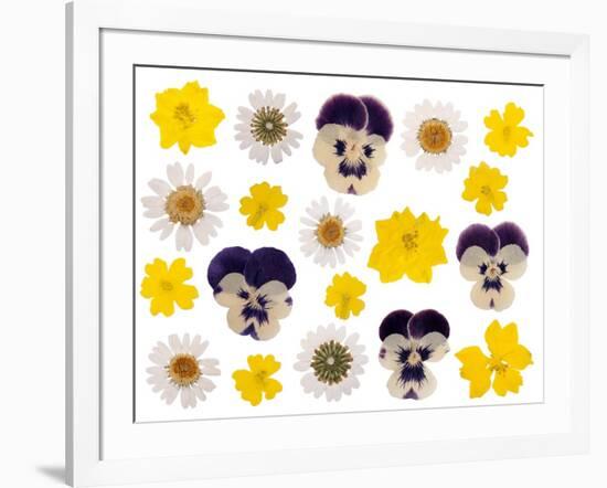 Pressed Flowers-Iwona Grodzka-Framed Art Print