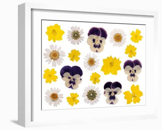 Pressed Flowers-Iwona Grodzka-Framed Art Print