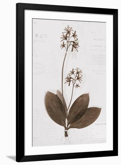 Pressed Meadow Flower I-H. T. Shores-Framed Giclee Print